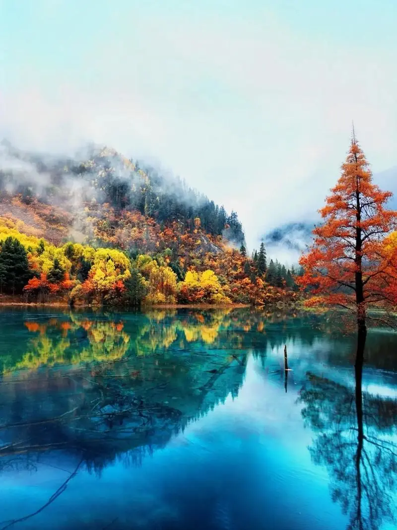 03b642061f9939484d91be273013bc93-sz_111503