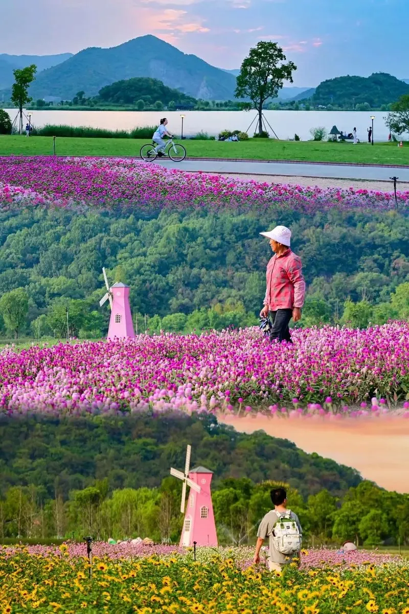 03e8445c7077ac2865c3b9b5db8cc959-sz_487259