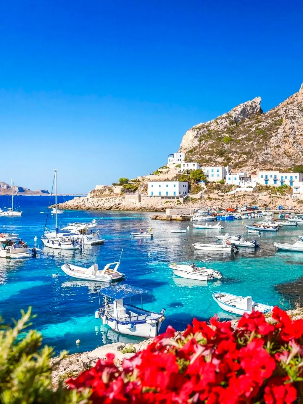 0445345b0719d56d382510fbe210783f-sz_419733