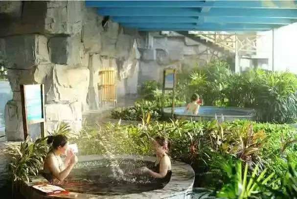 0466abf852e756659d5391227f6f7ad3-sz_43336