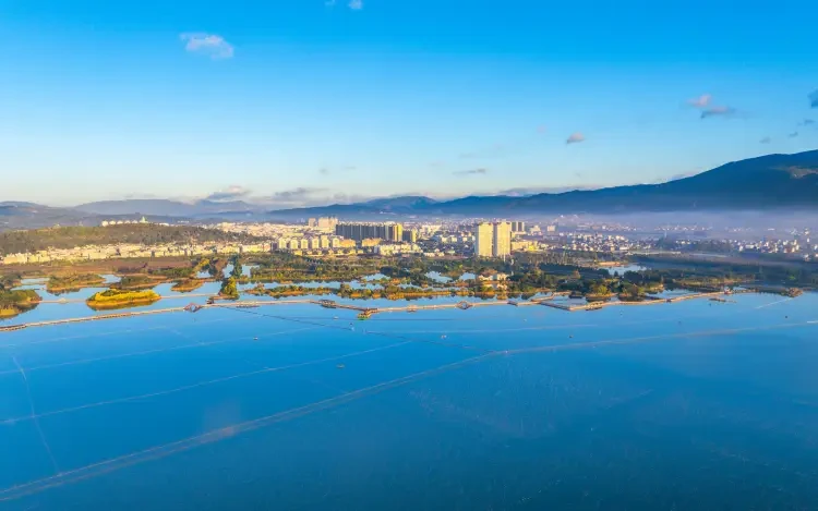 048ab880ae9a475ad7ab2e3fc0912790-sz_1533336