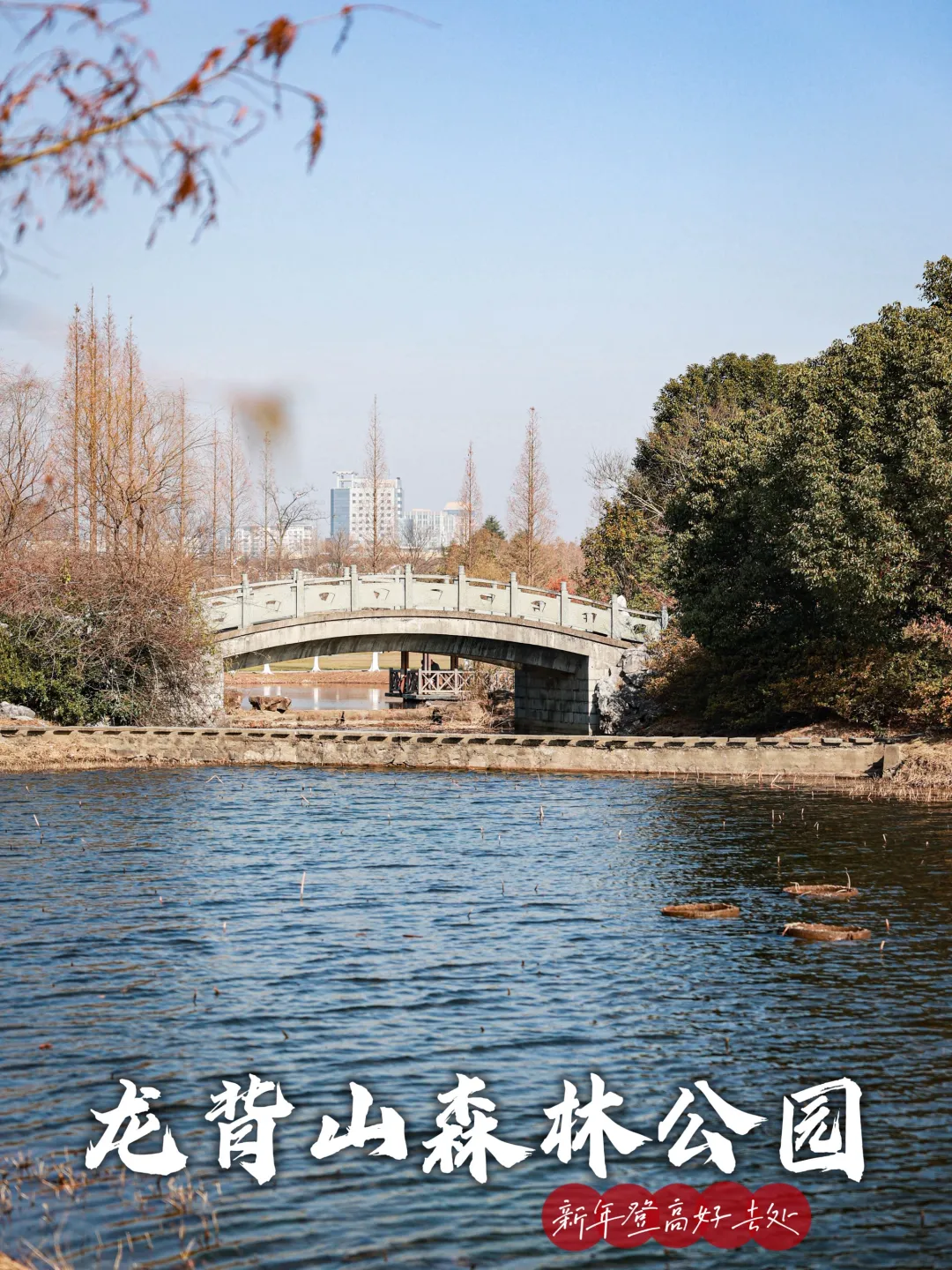 04a24494819f1ef3d5ef3c3be4c21b9b-sz_1435405