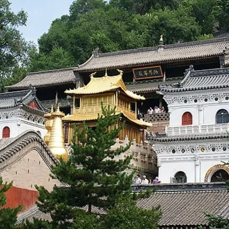 054323b1001c0a78089779e180838627-sz_101434 054323b1001c0a78089779e180838627-sz_101434