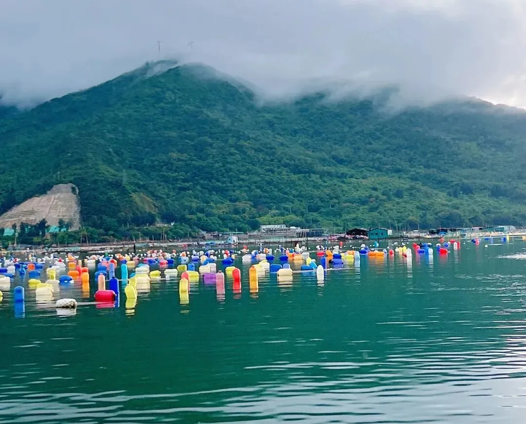 054d43545b2ed4a35f1f08116ce36a80-sz_194448