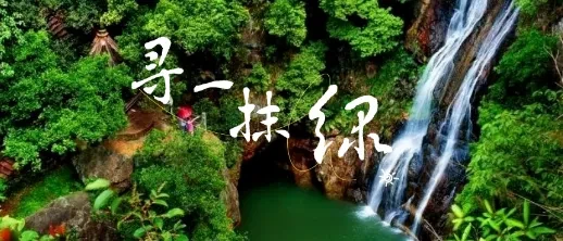 0560a8bc5896745f84249a32076ce75c-sz_303770