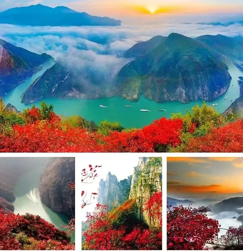 05883576c84b27633ef45604f6989899-sz_475407 05883576c84b27633ef45604f6989899-sz_475407