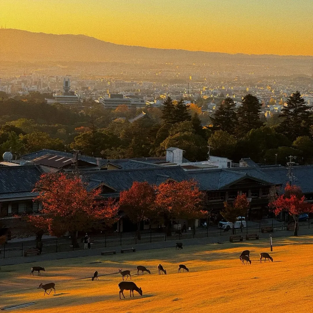 05d256121e45694ee232aa1fb88d81a4-sz_506829 05d256121e45694ee232aa1fb88d81a4-sz_506829