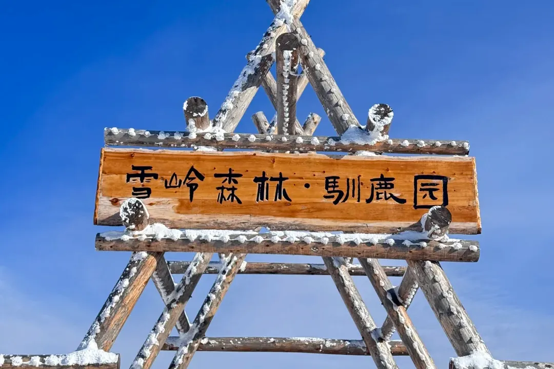 05d4562cc296f9db7d7829a040d6ad05-sz_1335566 05d4562cc296f9db7d7829a040d6ad05-sz_1335566