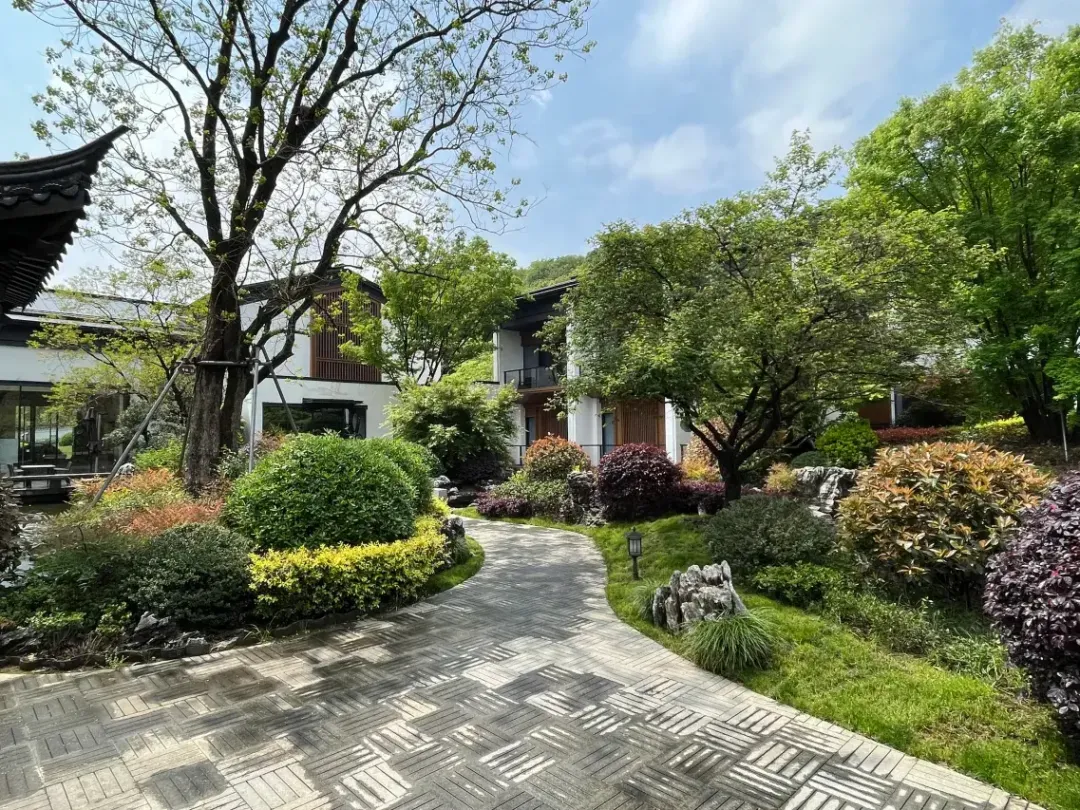 05ec2878c9903c42e1b1a12c133ba599-sz_2540750 05ec2878c9903c42e1b1a12c133ba599-sz_2540750