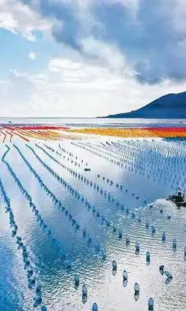 【岭南风华】￥2599元/起，超值广东纯玩双飞10日|上海自组班！|特别安排8大特色餐|特别升级1晚4钻酒店+海陵岛北洛秘境度假区