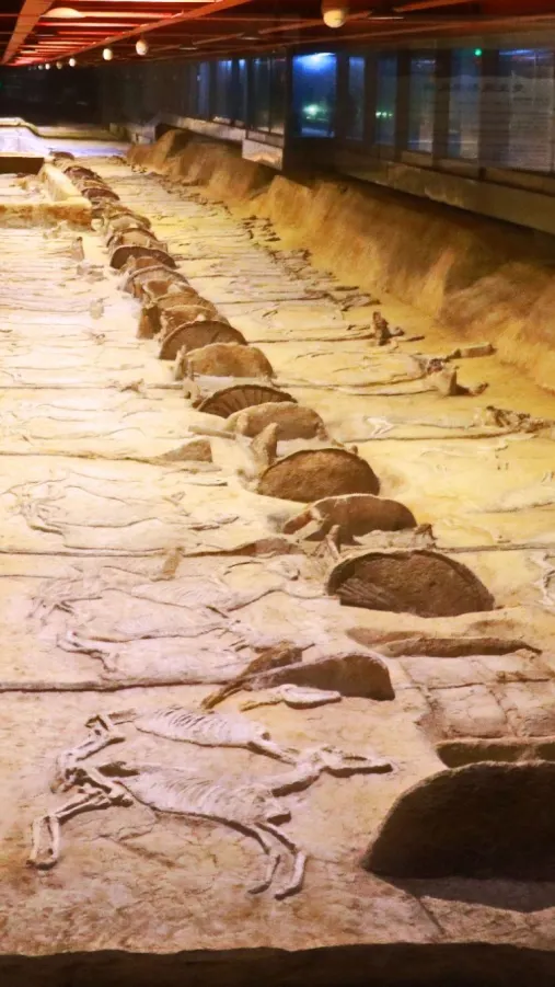 062c28ca704817c2c74fc47e7f4693f9-sz_343054 062c28ca704817c2c74fc47e7f4693f9-sz_343054