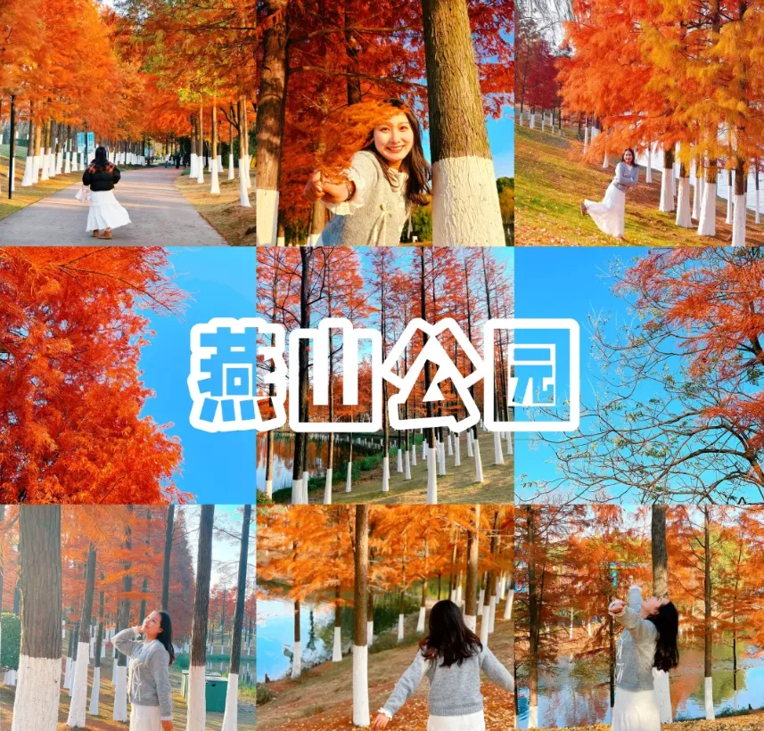 065f5a3ada2743ff074ccaee5e600bf3-sz_1769395-1 065f5a3ada2743ff074ccaee5e600bf3-sz_1769395-1