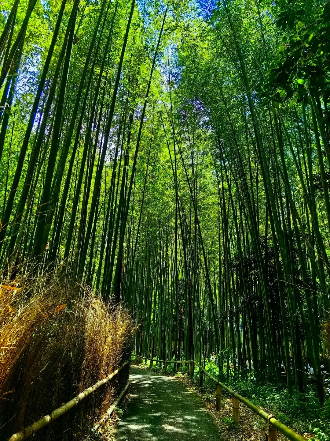 0661cc921a9d0252f83d659381713b32-sz_966353 0661cc921a9d0252f83d659381713b32-sz_966353