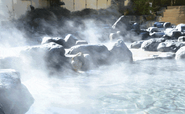 069475e242282ca7845f857a19ce3b35-sz_311022