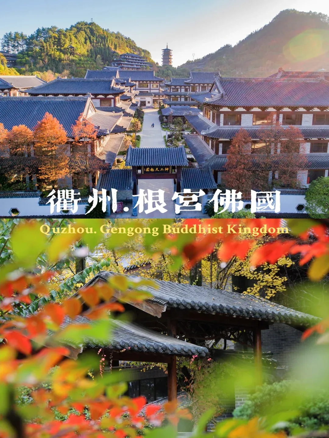 06a803f609f4a89b7304ac5345718508-sz_3548974