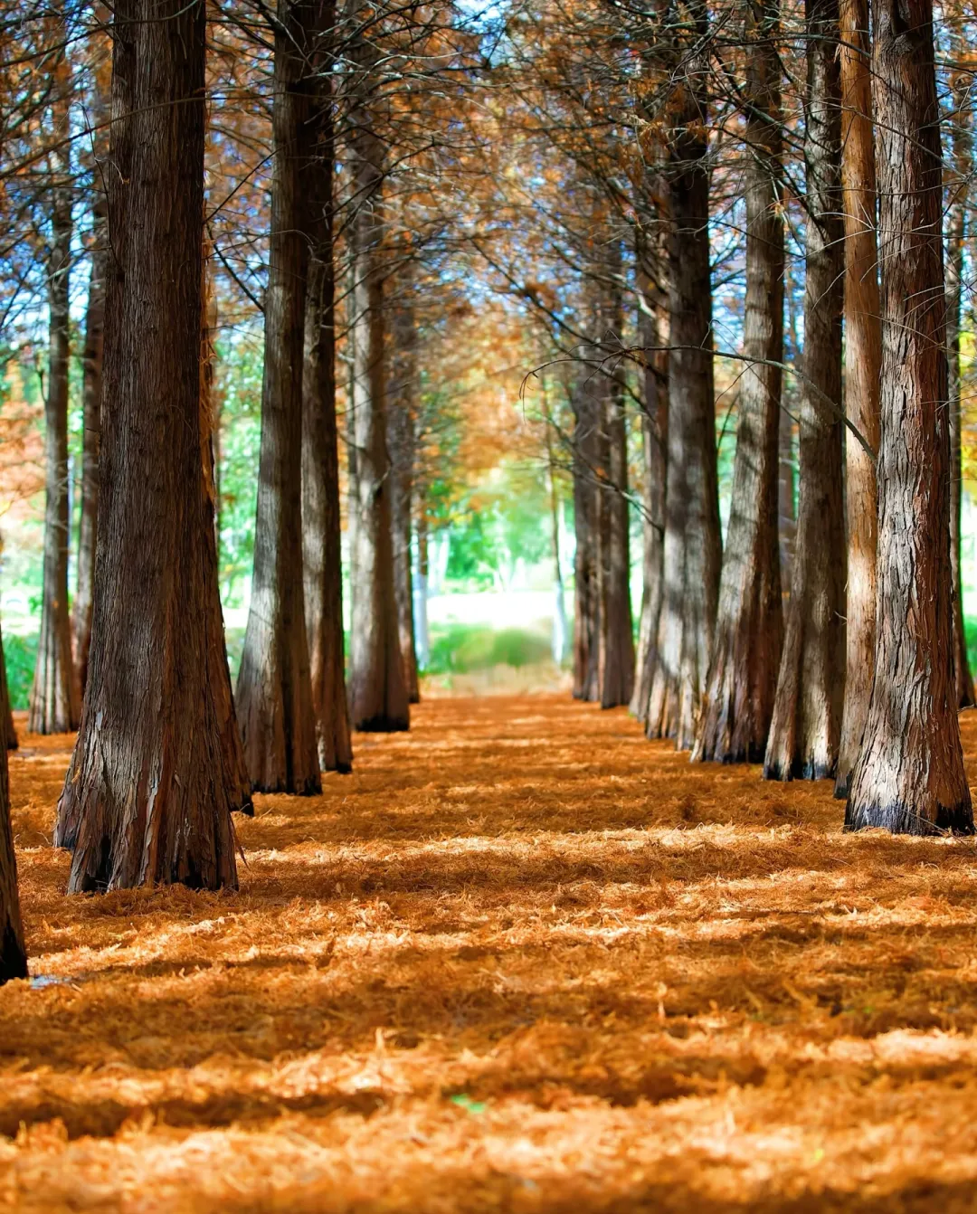 06ab5354442a792e284151d91adeb2eb-sz_1966428 06ab5354442a792e284151d91adeb2eb-sz_1966428