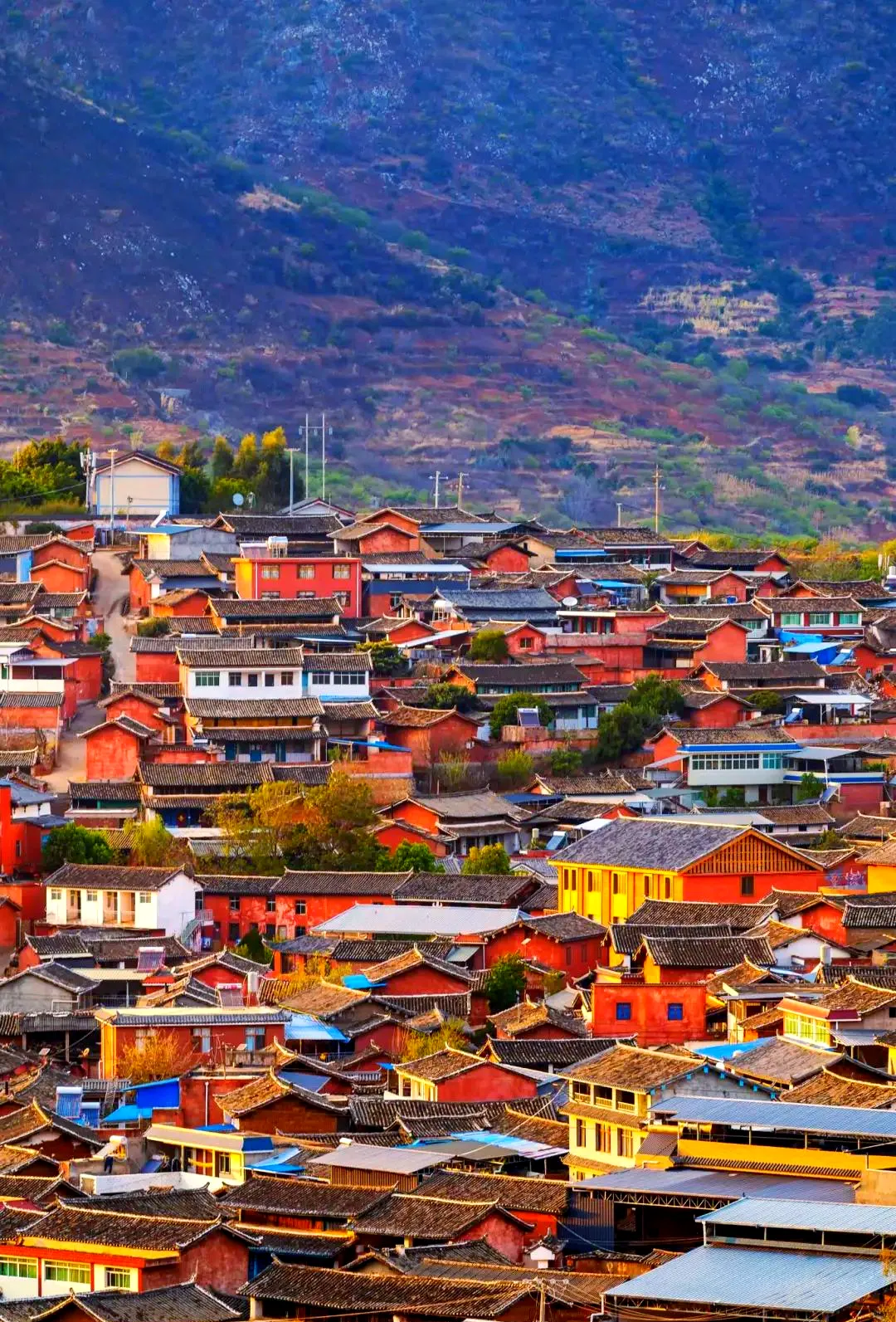 06b5ad29fe32ca7611941e9840a27e35-sz_3274049