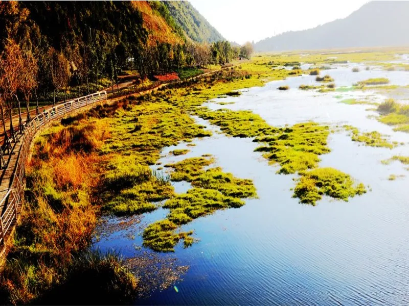 06d3bbd395a6d4acb7145d5b376d9f4b-sz_180173