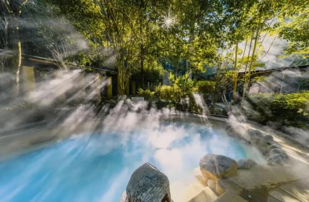 06fdfd3d8541bfb2fccb3ed08a1f3116-sz_496890