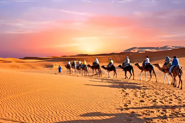 06ffe723bd771ec0aefa5a8f4b11d545-sz_552390