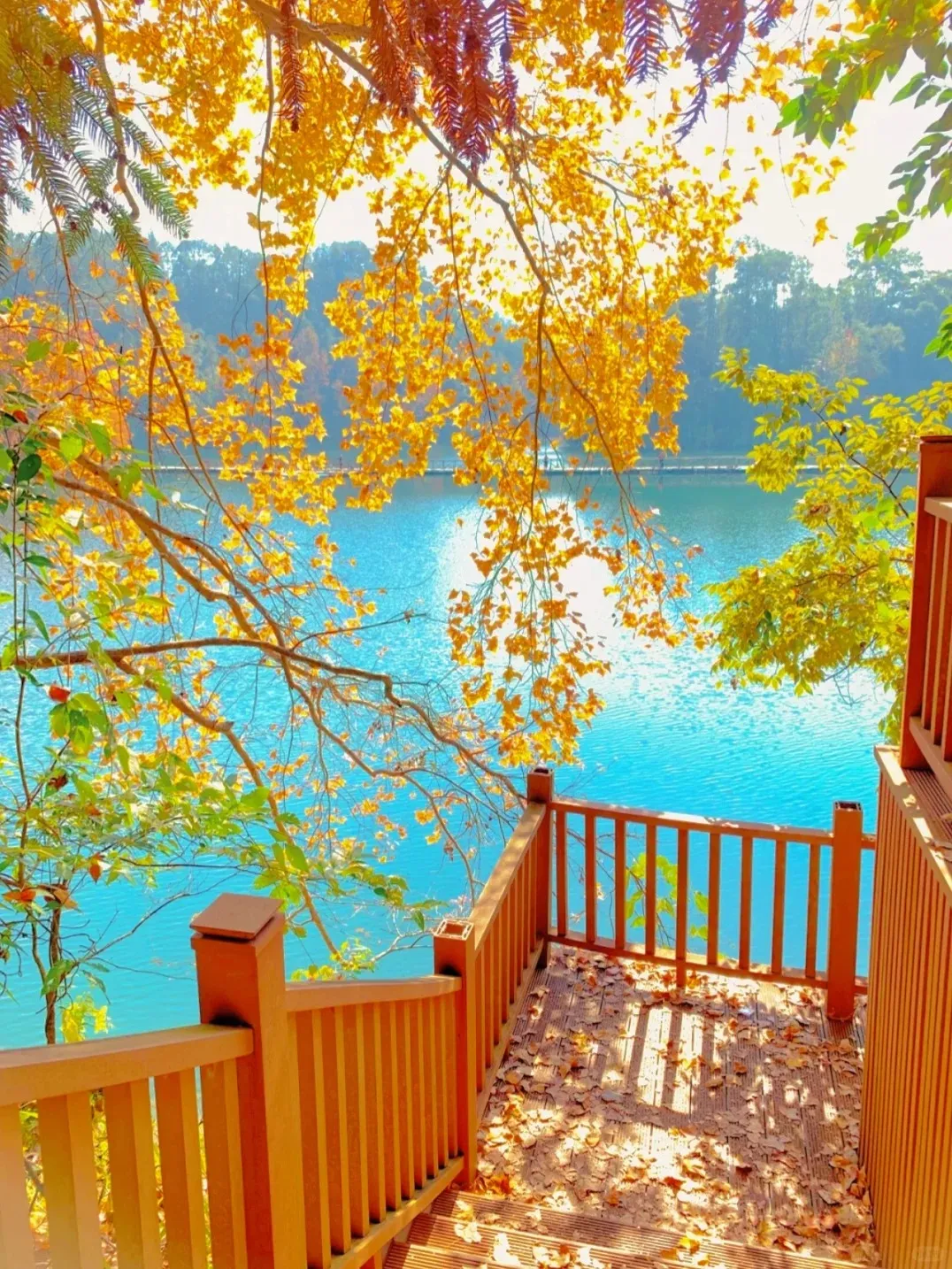 07279f093abd9a94dd8faf4be2c4f7bd-sz_573637