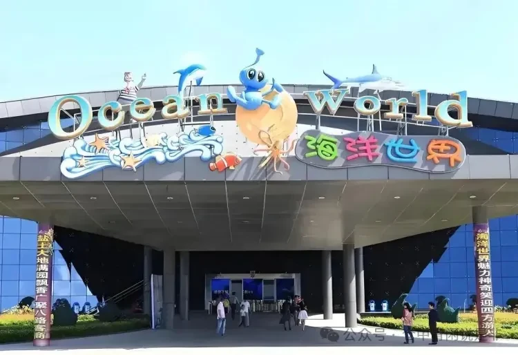 075b5138938f0153ed7784080bdaf239-sz_117021