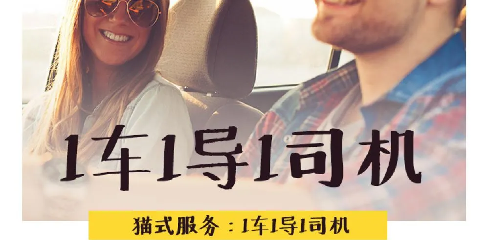 077f8ed4fba106af135a35cd5772e6c4-sz_80020