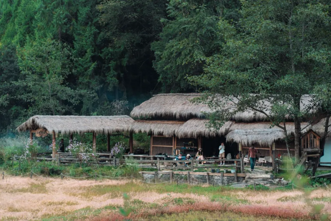 078bcc443a268102a532d84321a85be2-sz_8674540 078bcc443a268102a532d84321a85be2-sz_8674540