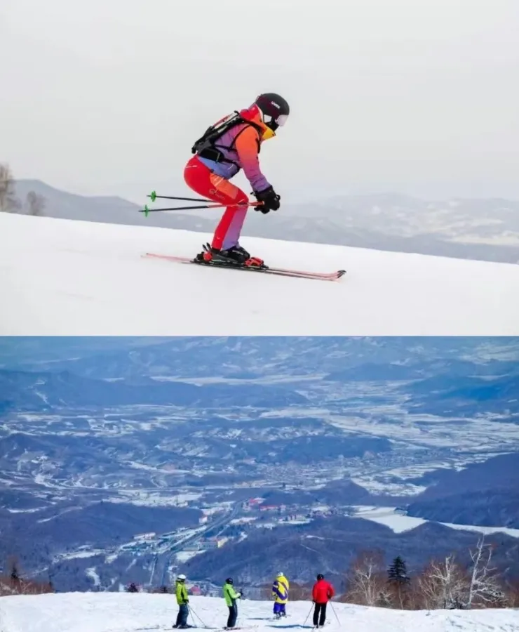 0793f95f383e375203d63f41064506fd-sz_292199