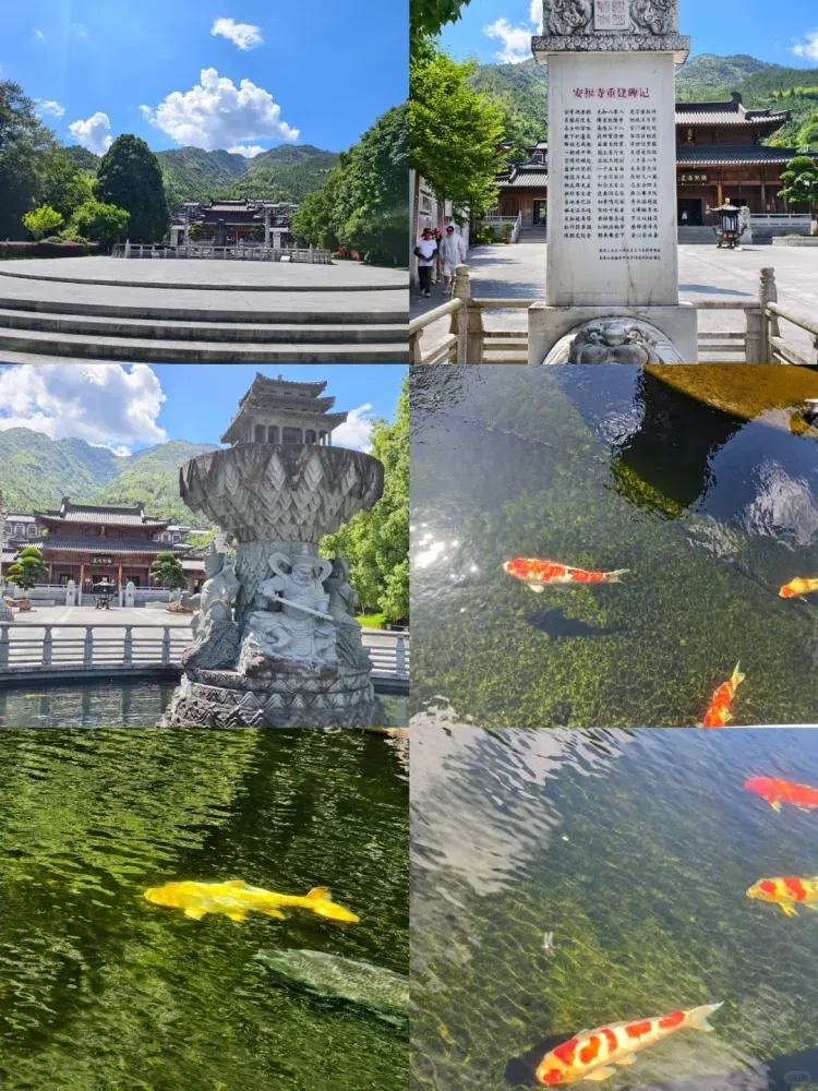 079aa72ac95d2ff29978e22aa5123a50-sz_3650122 079aa72ac95d2ff29978e22aa5123a50-sz_3650122