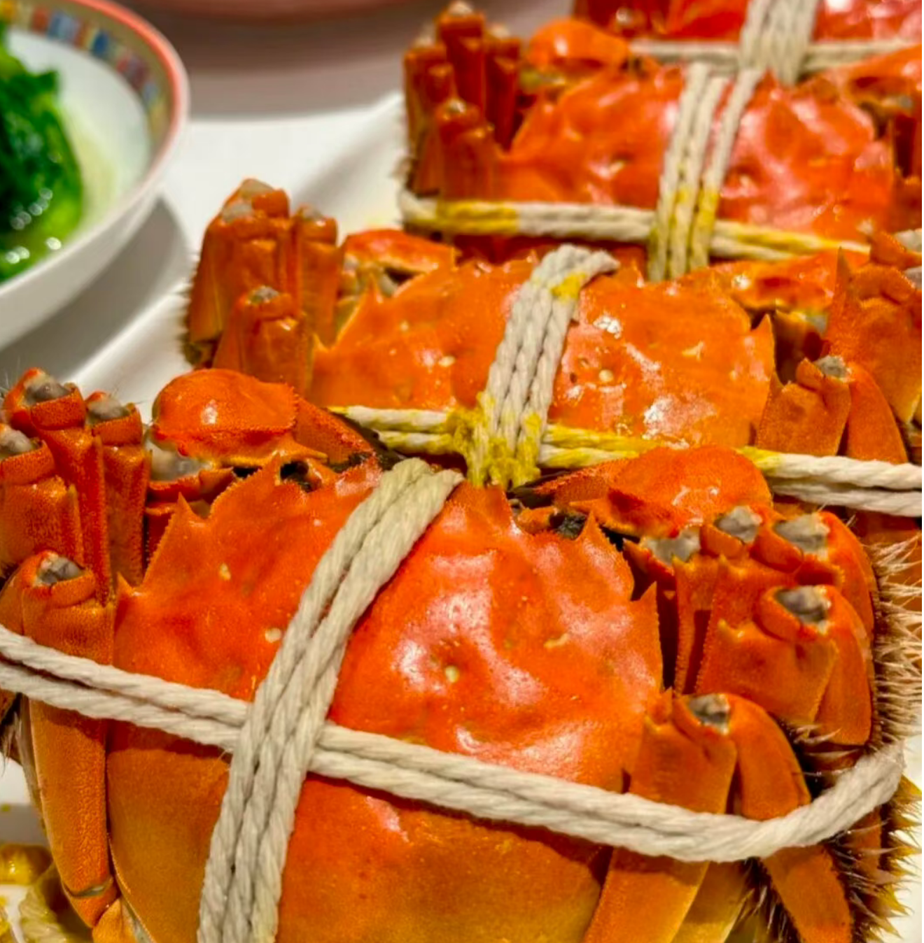 07b8b6d7e0848681d3dc1feaed00f41c