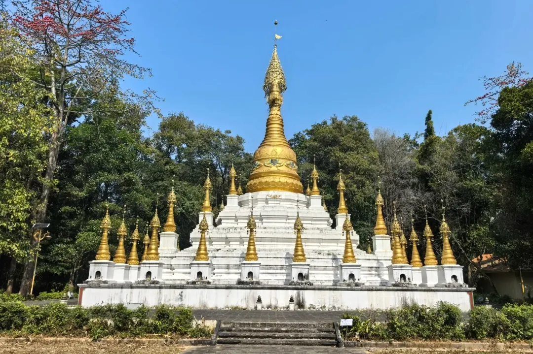 08046c5ab02a517e867ac782ad45c047-sz_651239 08046c5ab02a517e867ac782ad45c047-sz_651239