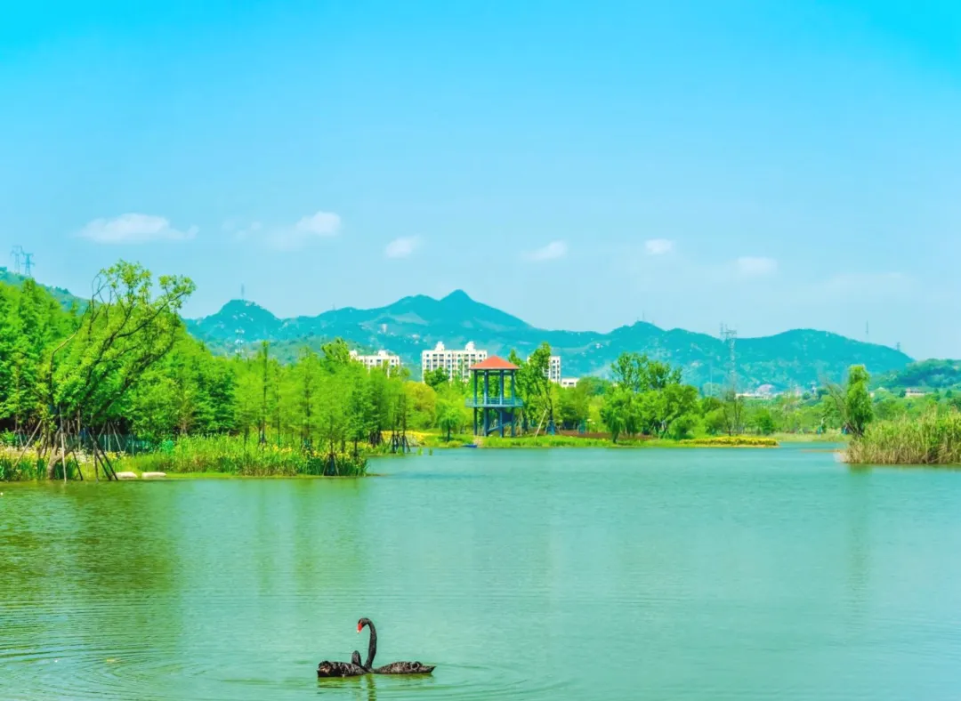 富春江畔499带车康养纯玩5日游，4晚连住忆晶城市度假酒店，秋色红叶天钟山，5A级黄公望景区，拒绝套班车，棋牌麻将卡拉OK全免费