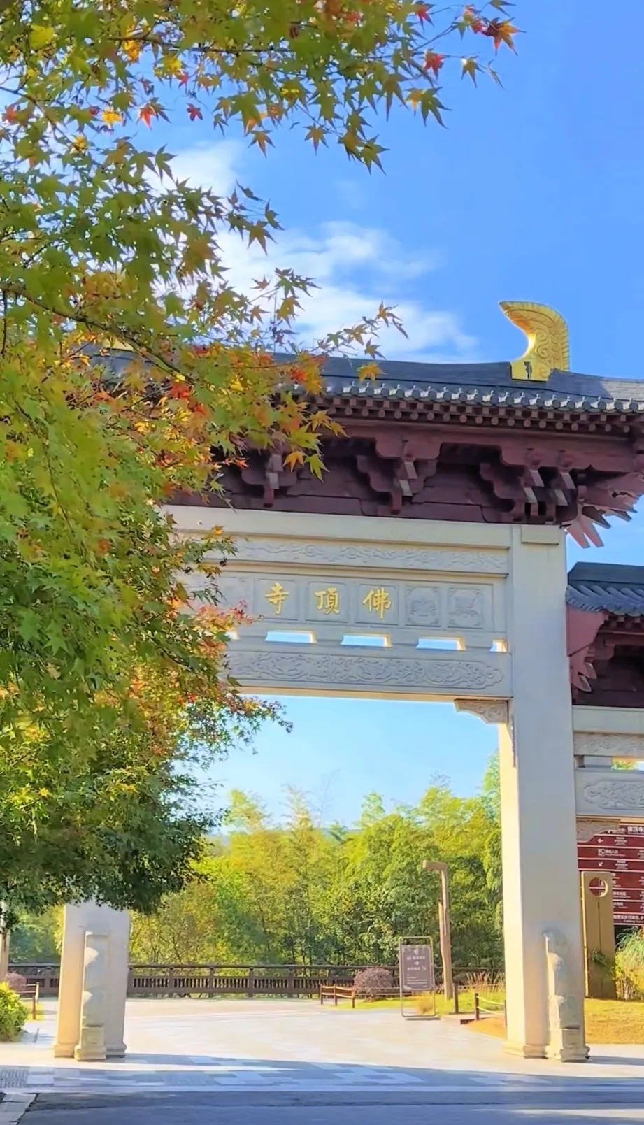 082d46c62769104a870dee744ff5330c-sz_978844