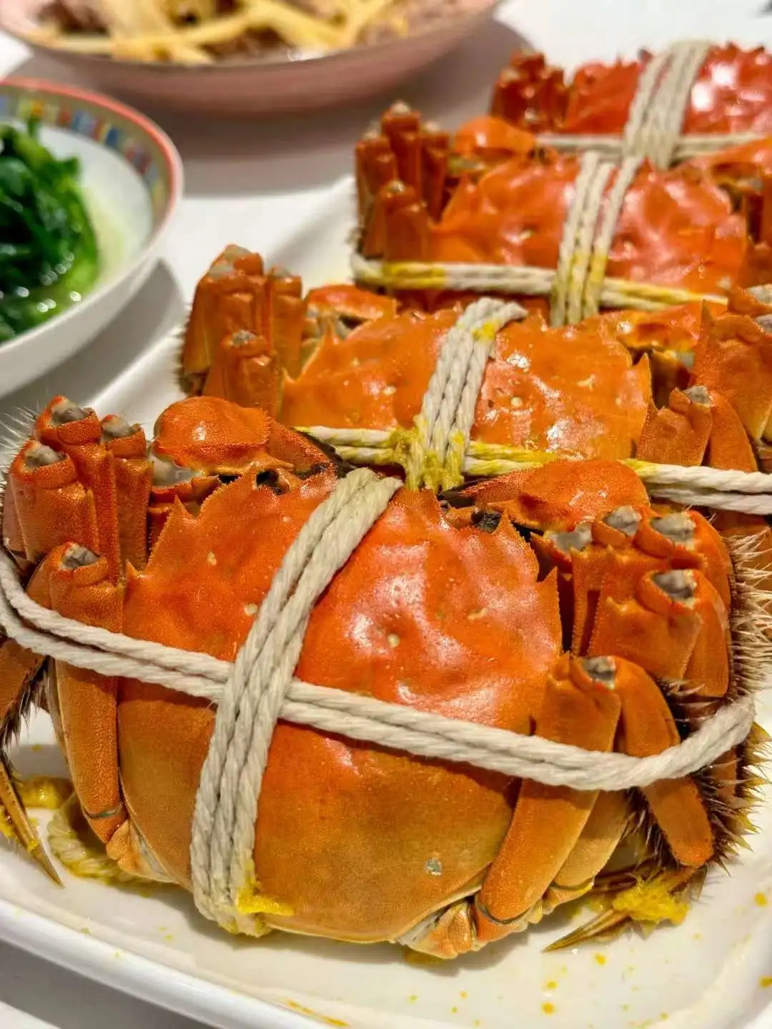 083a49fa1fb1f7986186d543465bdde6-sz_161743-1 083a49fa1fb1f7986186d543465bdde6-sz_161743-1