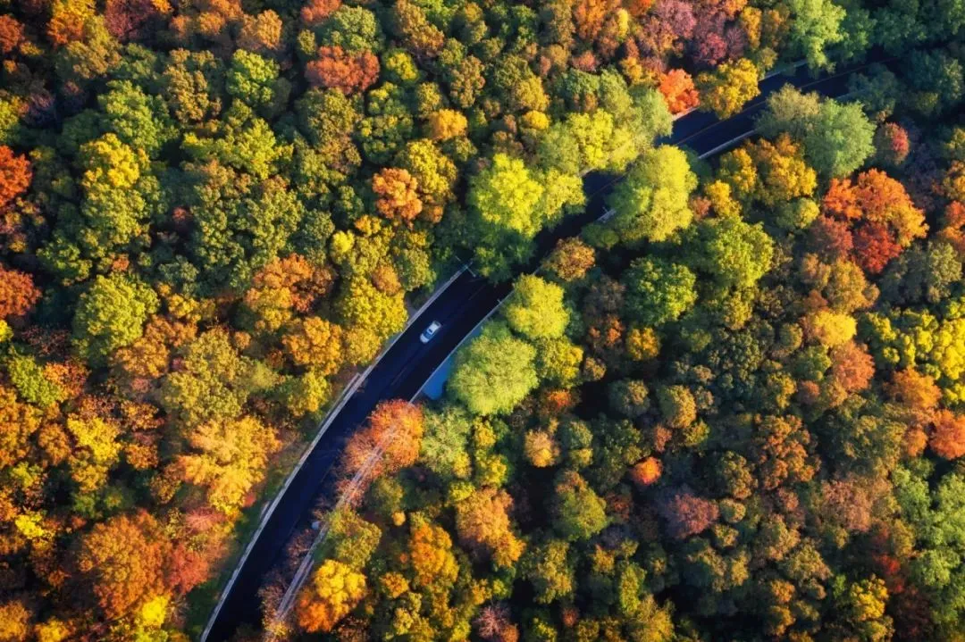 0846c76be6ecf2cda9475cd5edf6b108-sz_214800 0846c76be6ecf2cda9475cd5edf6b108-sz_214800