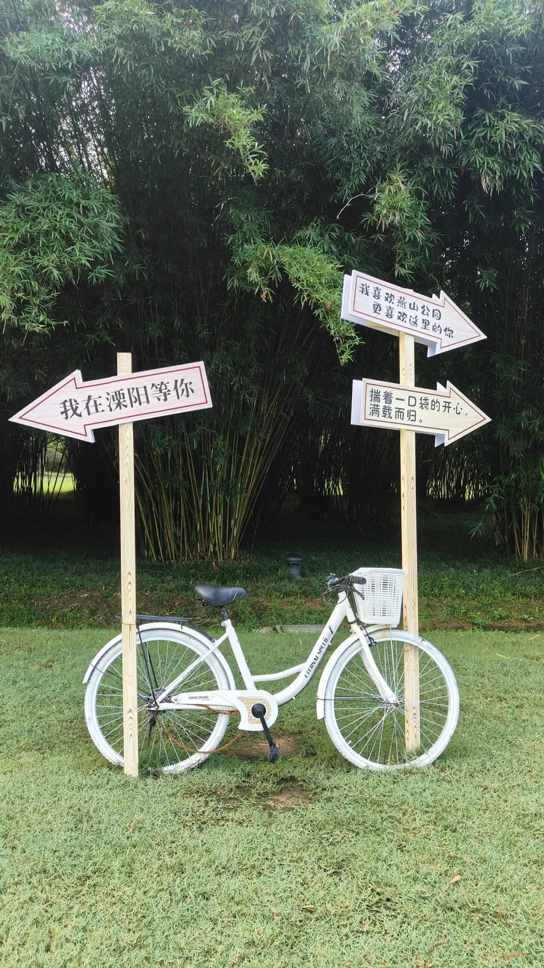 085dc1ad00294be901226471b7e2b509-sz_1014859