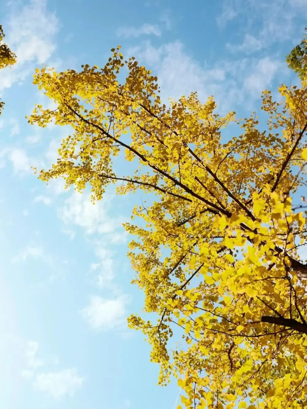 08691dfe6b239cb1d9454578f415c031-sz_1740947-1