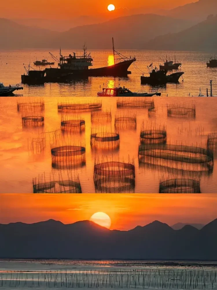 08705d3575a5f2d4eb6db101cfc750cc-sz_2456127 08705d3575a5f2d4eb6db101cfc750cc-sz_2456127