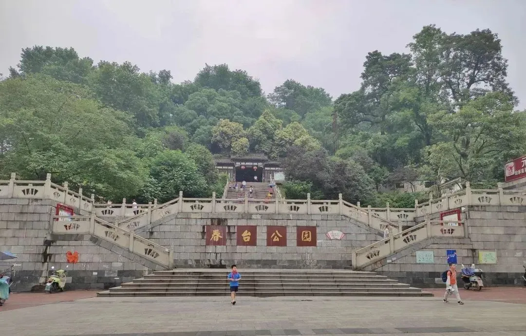 08751c96492e073c342f9115551f97d3-sz_159009