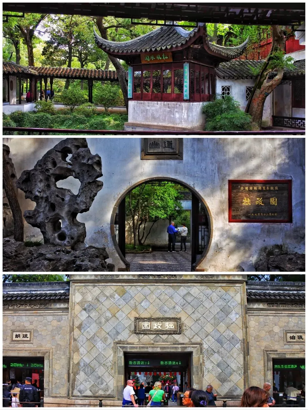 089565f6ce1fe7019ea5784e85c5df3c-sz_395776