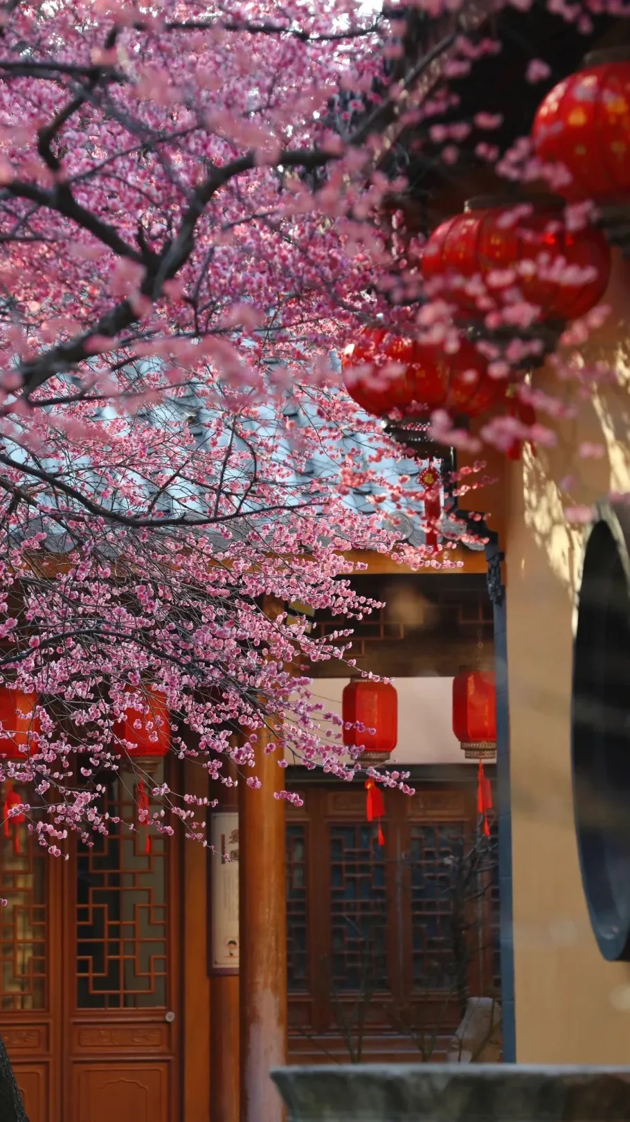 08cd0866f33392e1afdf5fd127a0379f-sz_499512 08cd0866f33392e1afdf5fd127a0379f-sz_499512