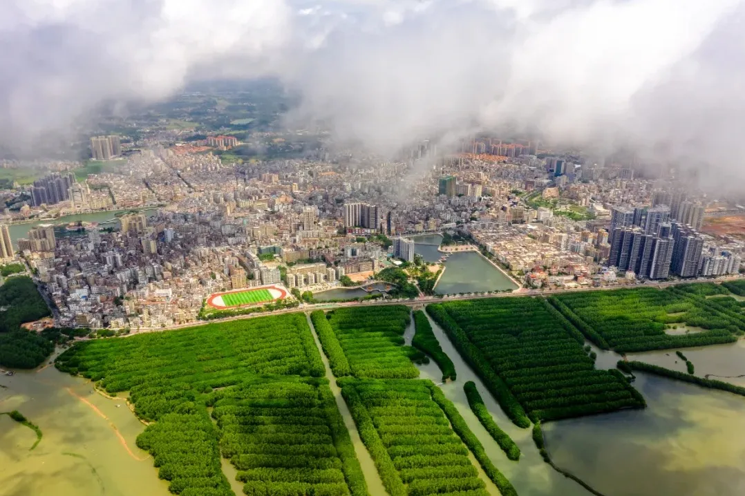 08fd63b563508b20e391b18e44417695-sz_357292