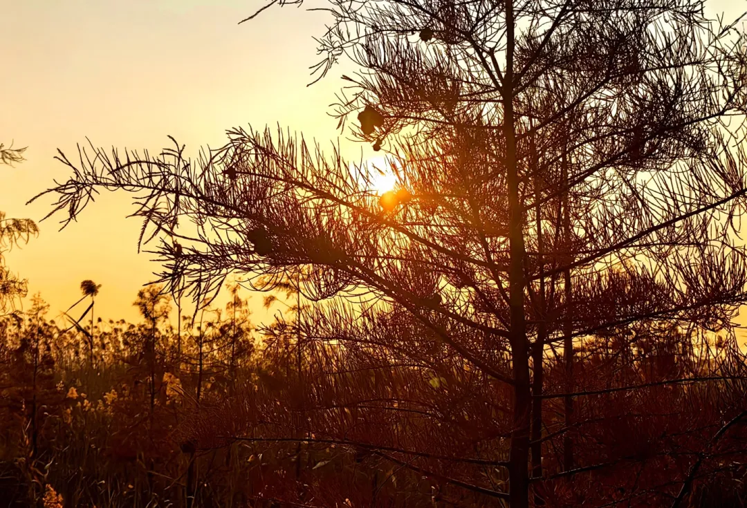 09a2bee179d23f1783f4490bbfee9031-sz_1418423 09a2bee179d23f1783f4490bbfee9031-sz_1418423