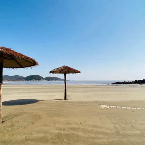 09d0cec38cc9ed8ea004fccd38c56c85-sz_824683 09d0cec38cc9ed8ea004fccd38c56c85-sz_824683