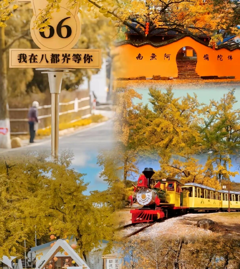 09fc08ff7c1adddf4300f86ad5294c42