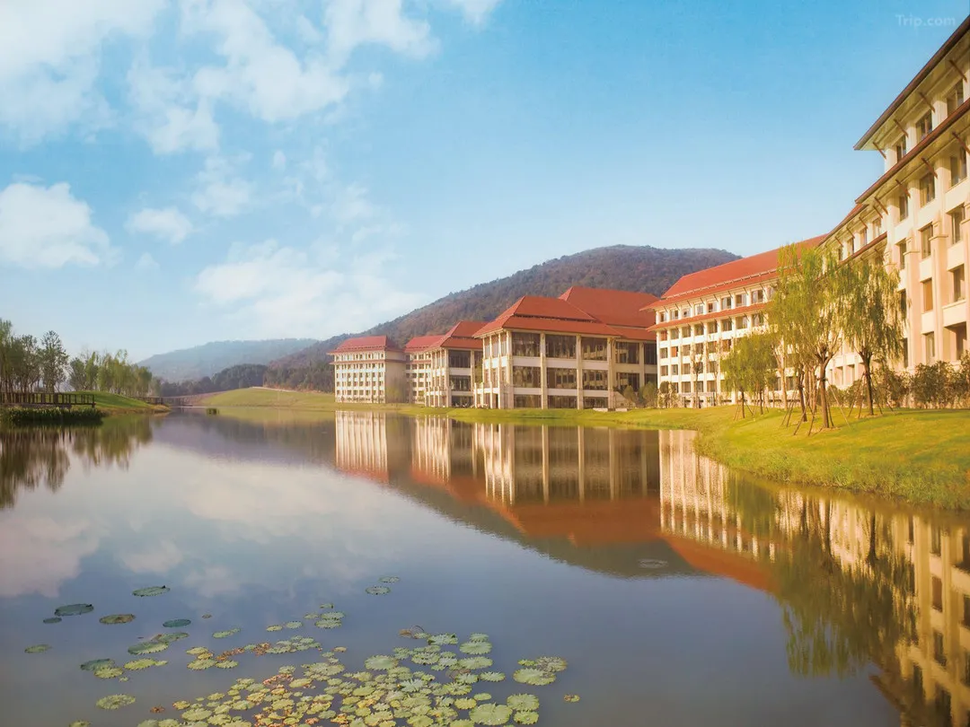 0AD2g120008vrdehk2BB9_W_1280_853_R5