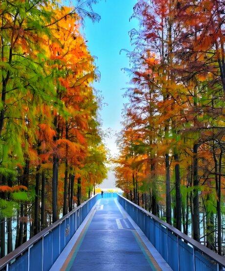 0Imu6ohSTli7dtygd9eV7aczAlS_qcCZ