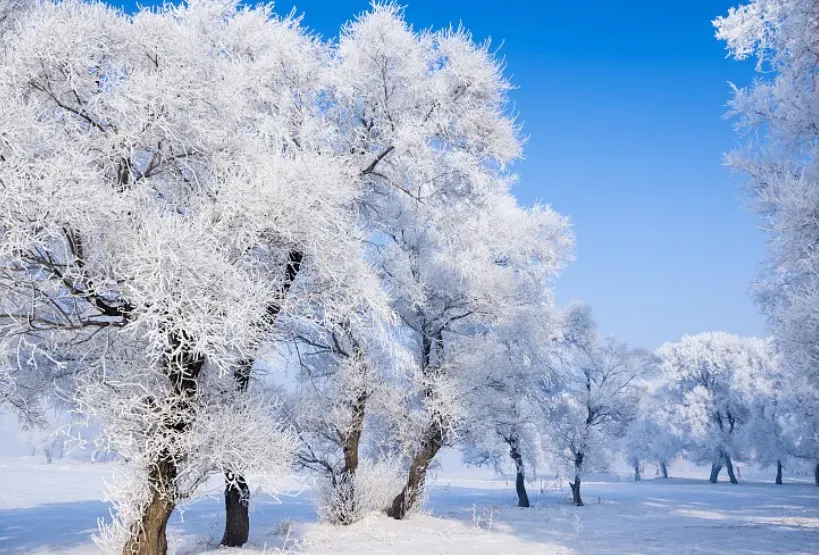 0a4bb943762d846bd84d6637a78e8b10-sz_900406