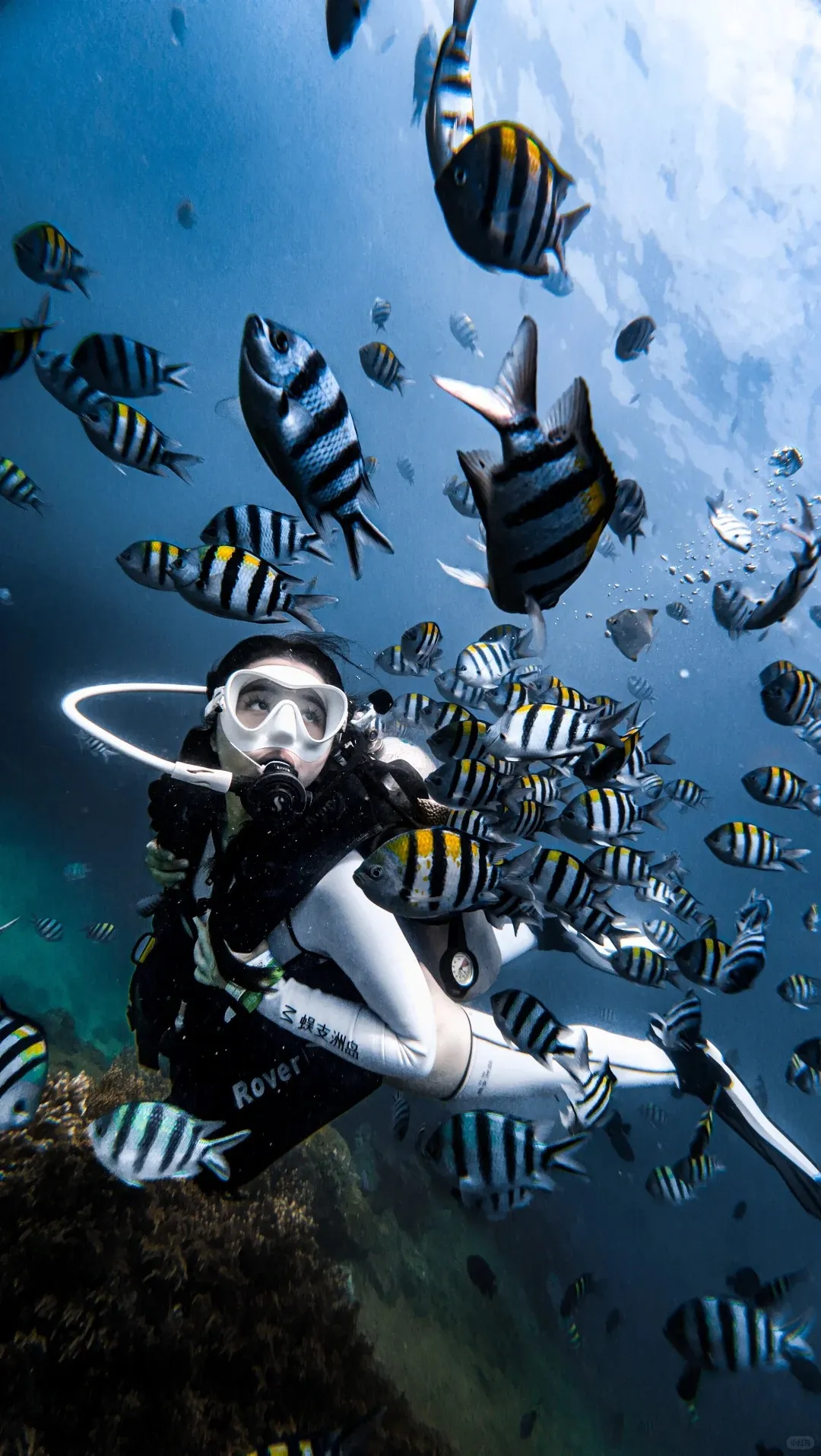 0a549326bf2e0e35943b39f8fe3e9e6a-sz_470389